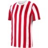 Camiseta Nike Striped Division IV CW3813-660