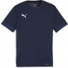 Camiseta Puma TeamGOAL 705747-06