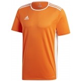 Camiseta de latiendadelclub ADIDAS Entrada 18 CD8366