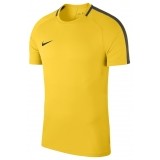 Camiseta Entrenamiento de latiendadelclub NIKE Academy 18 893693-719