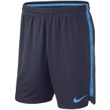 Bermuda de latiendadelclub NIKE Dri-Fit Squad 859908-452