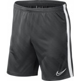 Bermuda de latiendadelclub NIKE Academy 19 BQ5810-060