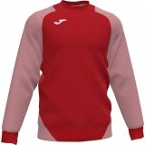 Sudadera de latiendadelclub JOMA Essential II 101510.602