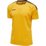 Camiseta de latiendadelclub HUMMEL HmlAuthentic Poly 204919-5115
