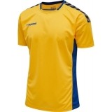 Camiseta de latiendadelclub HUMMEL HmlAuthentic Poly 204919-5167
