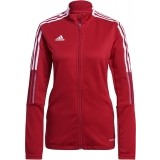 Chaqueta Chndal de latiendadelclub ADIDAS Tiro 21 Training Jacket GM7305