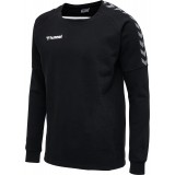 Sudadera de latiendadelclub HUMMEL HmlAutenthic Training Sweat 205373-2114