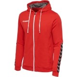 Chaqueta Chndal de latiendadelclub HUMMEL HmlAuthentic Poly Zip Hoodie 204937-3062