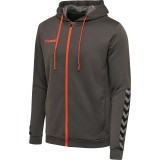 Chaqueta Chndal de latiendadelclub HUMMEL HmlAuthentic Poly Zip Hoodie 204937-1525