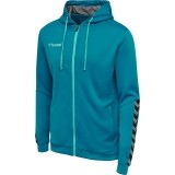 Chaqueta Chndal de latiendadelclub HUMMEL HmlAuthentic Poly Zip Hoodie 204937-8745