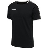Camiseta Entrenamiento de latiendadelclub HUMMEL HmlAutenthic Training Tee 205379-2114