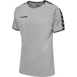 Camiseta Entrenamiento de latiendadelclub HUMMEL HmlAutenthic Training Tee 205379-2006