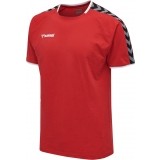 Camiseta Entrenamiento de latiendadelclub HUMMEL HmlAutenthic Training Tee 205379-3062