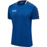 Camiseta Entrenamiento de latiendadelclub HUMMEL HmlAutenthic Training Tee 205379-7045