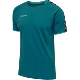Camiseta Entrenamiento de latiendadelclub HUMMEL HmlAutenthic Training Tee 205379-8745