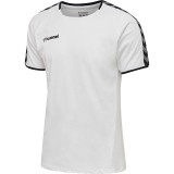 Camiseta Entrenamiento de latiendadelclub HUMMEL HmlAutenthic Training Tee 205379-9001