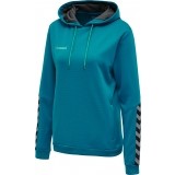 Sudadera de latiendadelclub HUMMEL HmlAutenthic Poly Hoodie 204932-8745