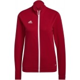 Chaqueta Chndal de latiendadelclub ADIDAS Entrada 22 TK H57562