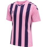 Camiseta de latiendadelclub HUMMEL HmlCore XK Striped 211458-3266