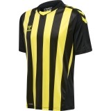 Camiseta de latiendadelclub HUMMEL HmlCore XK Striped 211458-5138