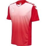 Camiseta de latiendadelclub HUMMEL HmlCore XK Sublimation Jersey 211459-3062